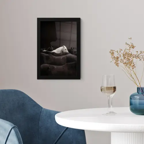 Paarden - Zwart - Wit - Kudde fotolijst zwart zonder passe partout klein -sfeer4