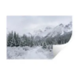 Weg - Bergen - Sneeuw - Naaldbos - Avontuurlijk Muursticker klein -3d