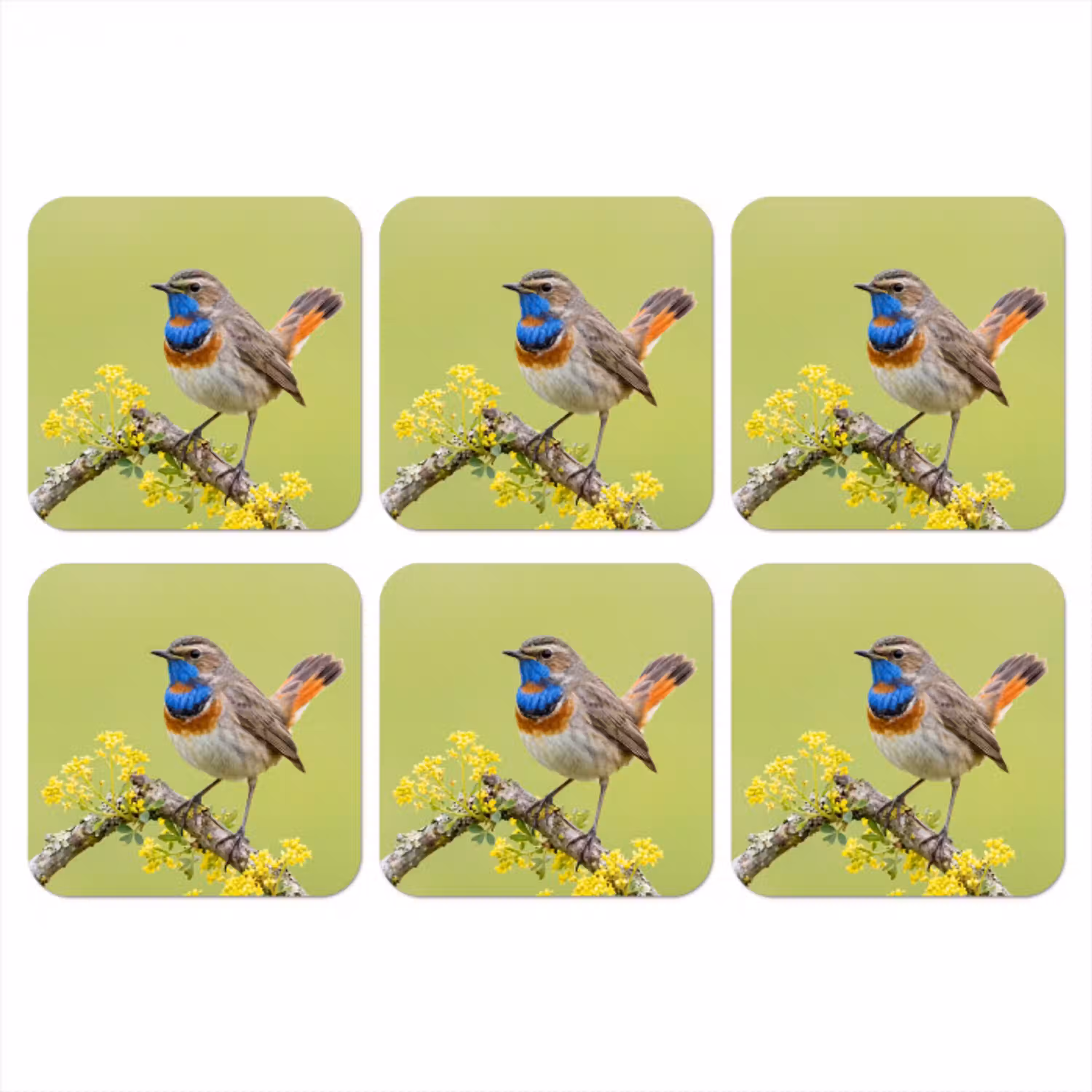 Vogel - Tak - Natuur - Kleurrijk onderzetter kurk middel -3d