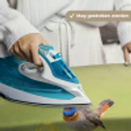 Vogel - Tak - Natuur - Kleurrijk Wandkleed katoen middel -sfeer9