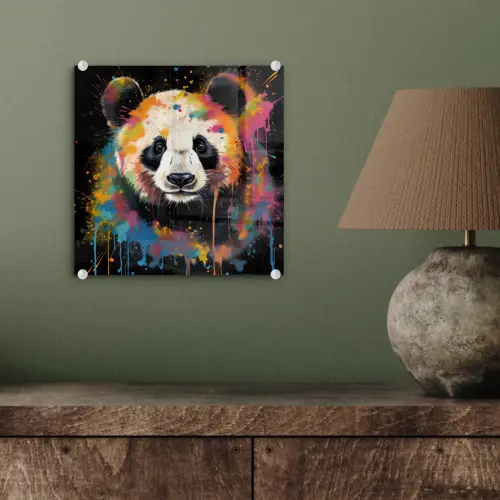 Panda - Graffiti - Dieren - Zwart - Kleuren plexiglas 5mm klein -sfeer3