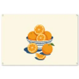 Schaal - Minimalistisch - Oranje - Sinaasappels tuinposter los doek groot -3d