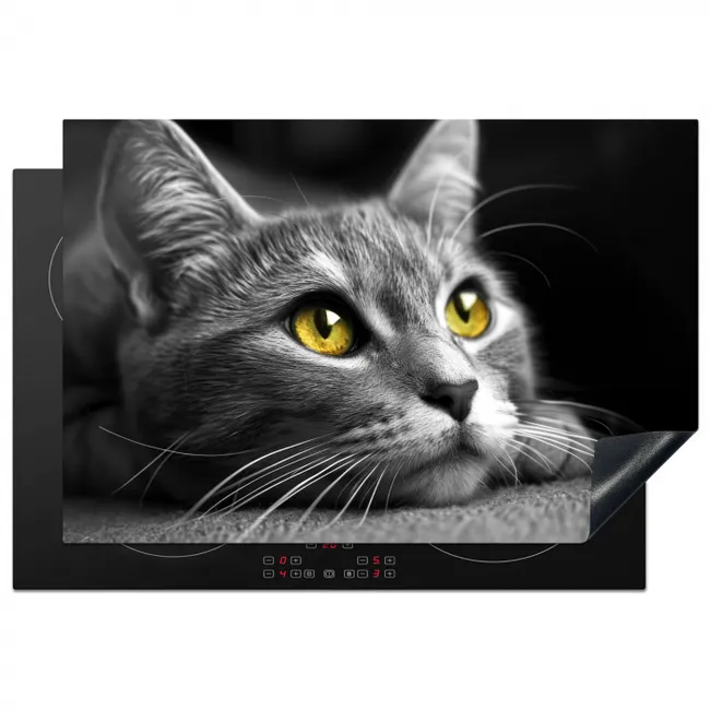 Blik van Goud Inductie beschermer vinyl 3mm klein -3d