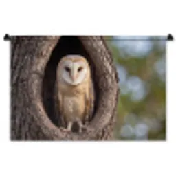 Kerkuil - Boom - Natuur - Bruin Wandkleed katoen middel -zz3d