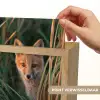 Vos - Oranje - Gras Light Box met kabel (Kinderlampje) klein -USP_websiteprintNL