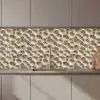 Schelpen - Waaiervorm - Wit keuken achterwand 2 middel 871 zz_3dshopping