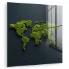 Wereldkaart - Mos -Levendig effect plexiglas 5mm klein -zzzproduct_nieuw