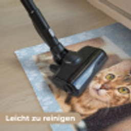 Pfötchen – Hintergrund Deurmat klein -reinigen_DE