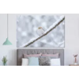 Vogeltje - Sneeuw - Tak - Winter - Zacht forex 5mm xxl -slaapkamer
