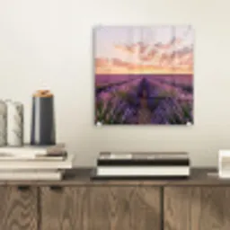 Landschap - Lavendelveld - Paars plexiglas 5mm klein -sfeer1