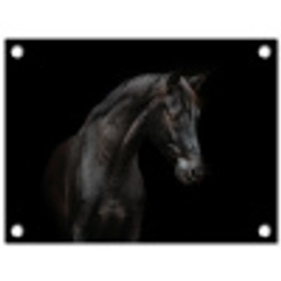 Elegant zwart paard in het donker tuinposter los doek klein -3d
