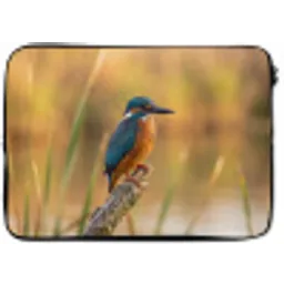 IJsvogel - Tak - Water - Kleurrijk - Levendig laptophoes neopreen klein -zkaufland3dotto