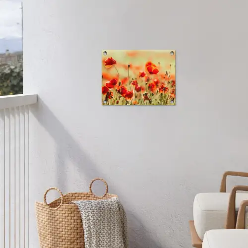 Klaprozen - Bloemen - Rood - Bloemenveld tuinposter los doek klein -sfeer8