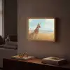 Vos - Gras - Wolken - Oranje Light Box met batterij (Wandlamp) middel -sfeer1