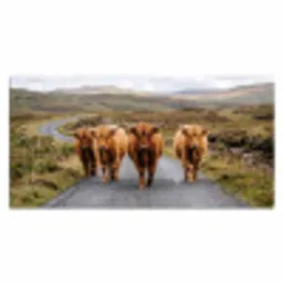 Schotse Hooglanders - Weg - Landschap - Kudde Muismat XXL klein -3d_leeg