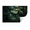 Plant - Monstera - Lichtinval Muursticker klein -3d