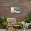 Kat - Siamees - Zwart Wit - Schattig - Dieren Tuinposter op houten frame 2 cm dik klein -sfeer3