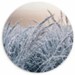 Rijp - Gras - Kristallen - Winter - Minimalistisch Wandcirkel kunststof plaat 5mm dik klein -3d