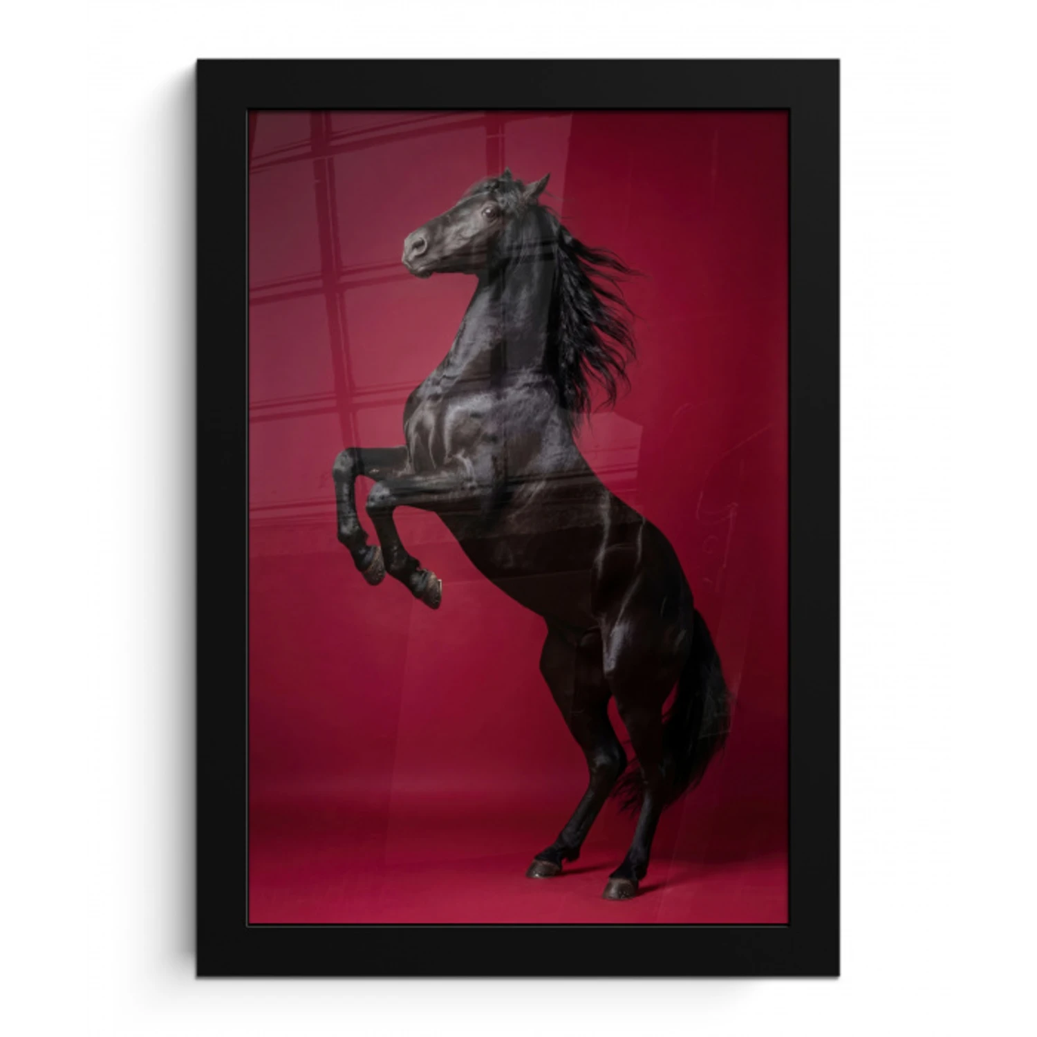 Hengst - Steigert - Rood fotolijst zwart zonder passe partout klein -3d