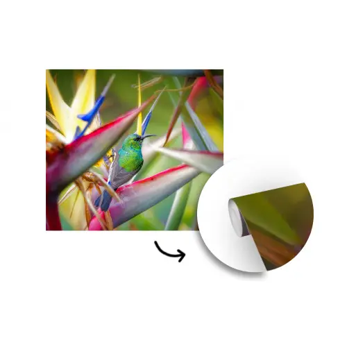Kleurrijke vogel tussen allemaal kleurrijke platen fotobehang vinyl groot -3d