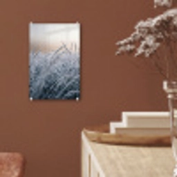 Rijp - Gras - Kristallen - Winter - Minimalistisch plexiglas 5mm klein -sfeer5