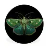 Mot - Levendig - Groen Wandcirkel aluminium klein -3d