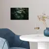 Plant - Monstera - Lichtinval poster papier klein -sfeer3