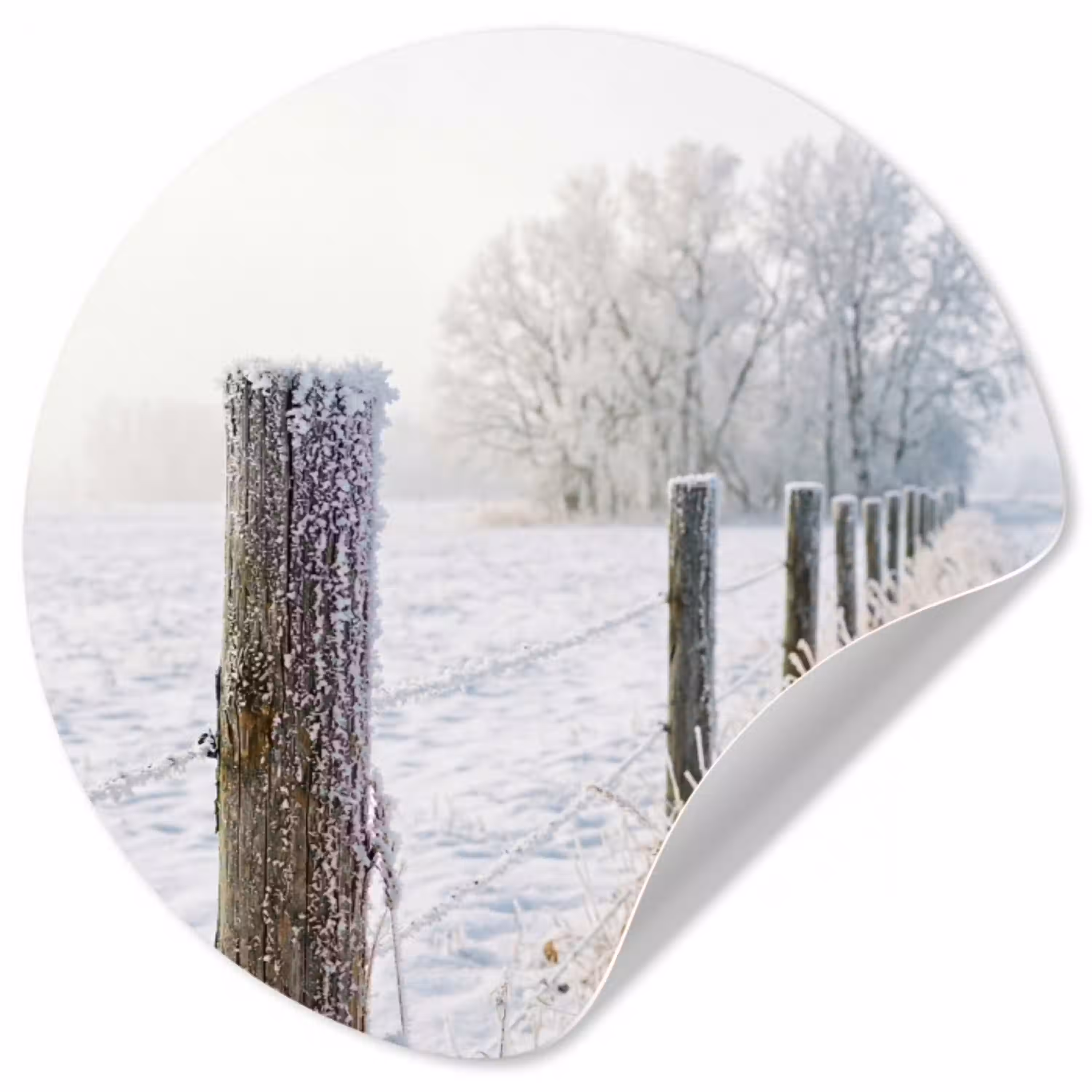 Hek - Sneeuw - Mist - Platteland - Nostalgisch Wandcirkel behangsticker klein -3d