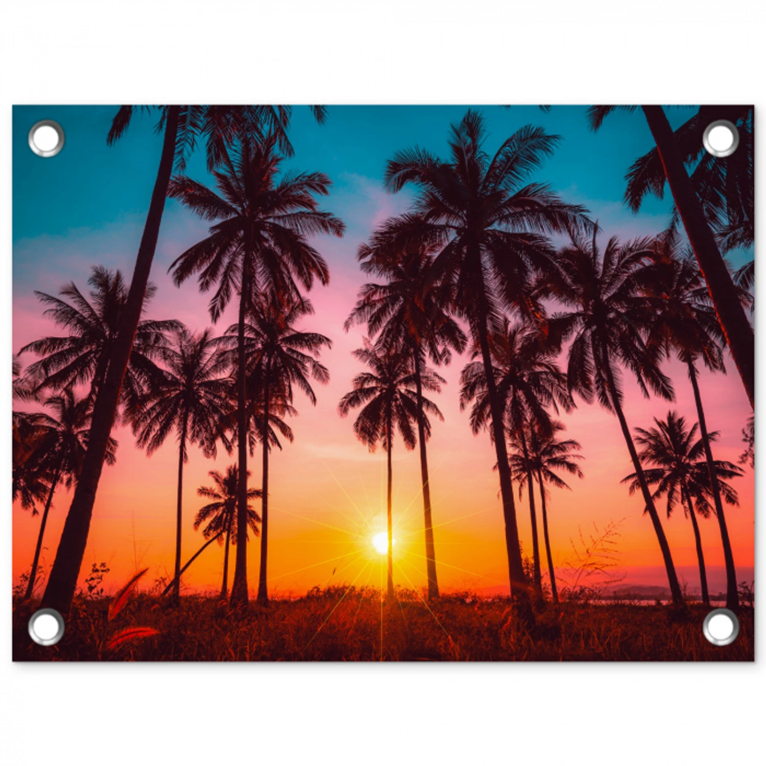 Palmboom - Zonsondergang - Horizon - Strand - Oranje - Roze tuinposter los doek klein -3d