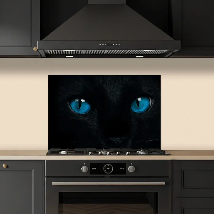 Kat - Blauw - Dier - Zwart keuken achterwand spatscherm klein -sfeer1