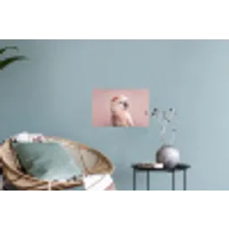 Kaketoe - Portret - Roze Muursticker klein -plant