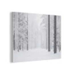 Bos - Sneeuw - Pad - Winter - Stilte PET vilt klein -3d