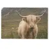 Schotse hooglander - Bergen - Grasveld Deurmat klein -zkaufland3d