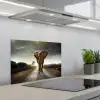 Olifant - Weg - Dieren - Zonsondergang - Landschap keuken achterwand spatscherm klein -3d_schuin