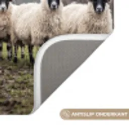 Schapen - Rij - Weide - Dieren - Platteland Badmat klein -USP_AntislipNL