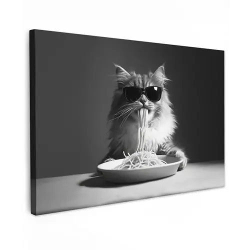 Langharige kat - Zonnebril - Spaghetti - Humor - Zwart - wit Tuinposter op houten frame 2 cm dik klein -3d