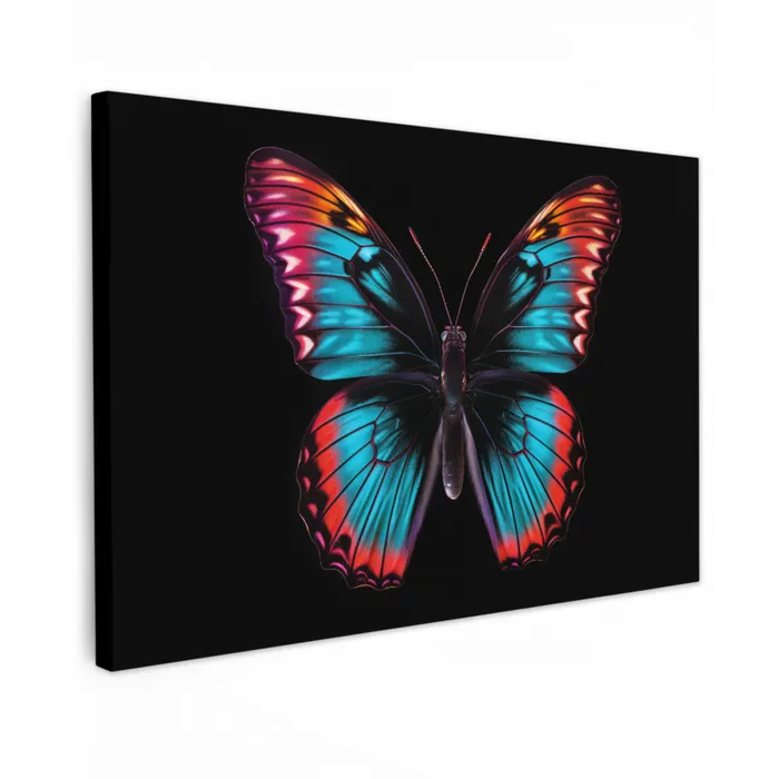Vlinder - Kleuren - Dier - Zwart canvas 2cm klein -z3d