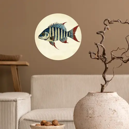 Gestreept - Donkerblauw - Rugvin - Vis Wandcirkel behangsticker klein -sfeer1