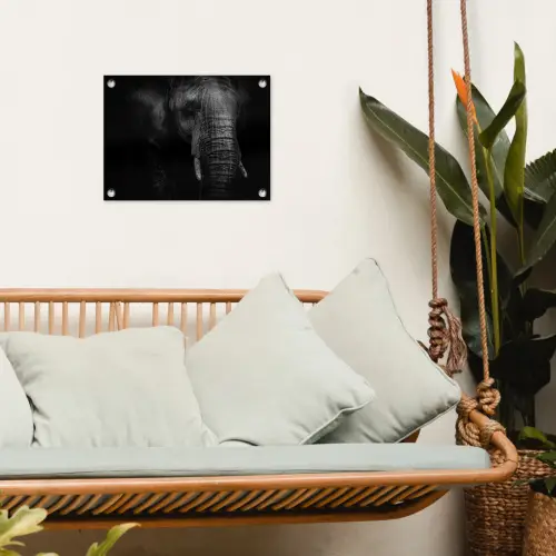Olifant - Dier - Portret tuinposter los doek klein -sfeer7