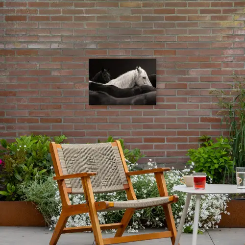 Paarden - Zwart - Wit - Kudde Tuinposter op houten frame 2 cm dik klein -sfeer3