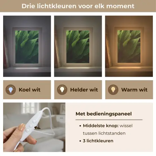Bladeren - Schaduw - Groen - Textuur Light Box met kabel (Tafellamp) klein -USP_lichtkleurNL