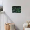 Bladeren - Tropisch - Monstera - Jungle tuinposter los doek klein -sfeer8