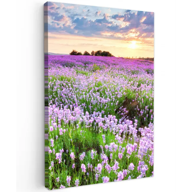 Bloemen - Lavendel - Paars - Lucht - Zonsondergang - Weide - Natuur Tuinposter op houten frame 2 cm dik klein -3d