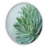Vetplant - Bladeren - Groen - Wazig Akoestische PET Vilt - Rond klein -3d
