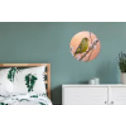 Groenling - Katjes - Lente - Natuur - Zacht Wandcirkel aluminium klein -slaapkamer