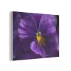 Paars - Viool - Diepte PET vilt klein -3d