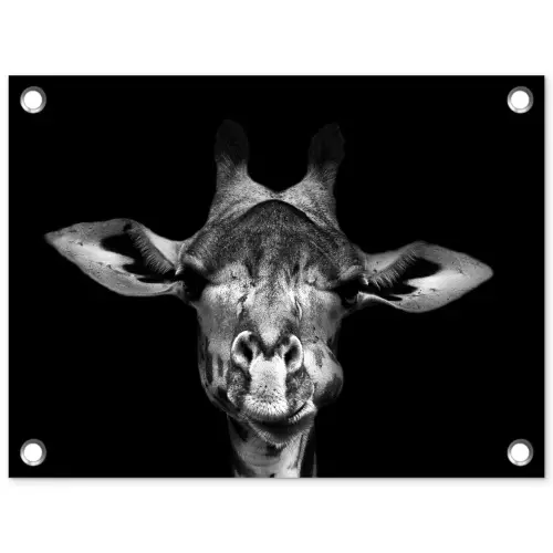 Giraffe - Portret - Dieren - Zwart - Wit tuinposter los doek klein -3d