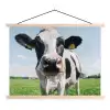 Koe - Weiland - Natuur - Dieren - Gras textielposter latten blank klein -3d