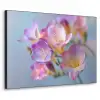 Bloemen - Paars - Overloop - Meeldraden Textielframe zwart klein -3d