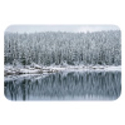 Bos - Reflectie - Meer - Winter - Serene Badmat klein -3d